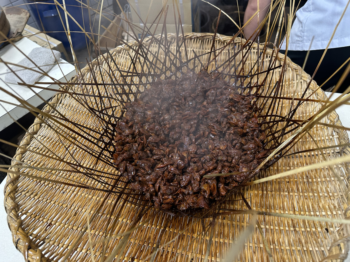 あさりの佃煮